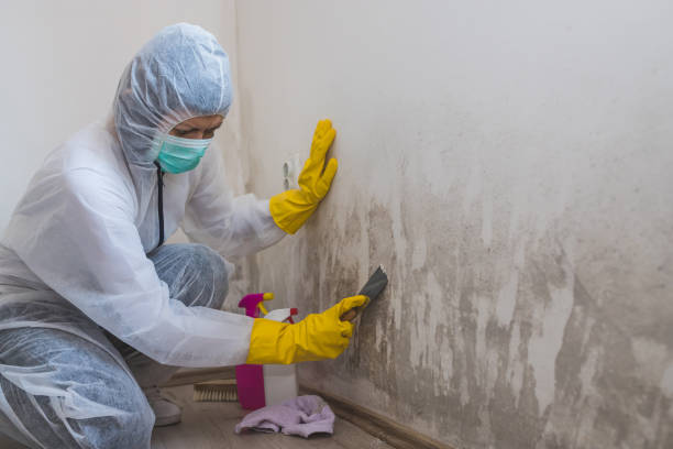 Best Office Mold Removal Services  in Meyers, CA
