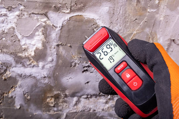 Best Best Mold Removal Companies  in Meyers, CA