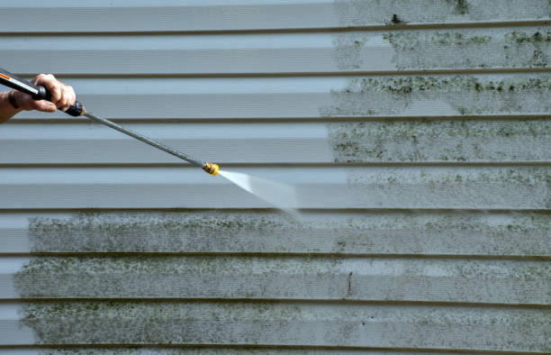 Mold Testing and Removal in Meyers, CA