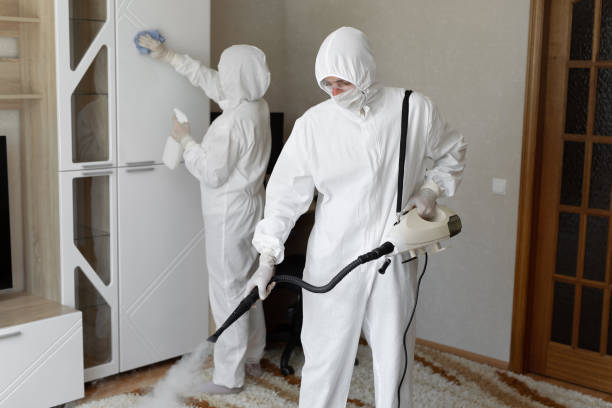 Best Residential Mold Removal  in Meyers, CA