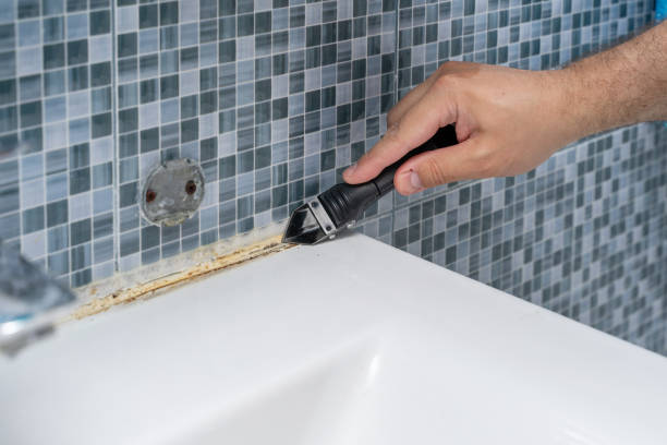Best Black Mold Removal  in Meyers, CA