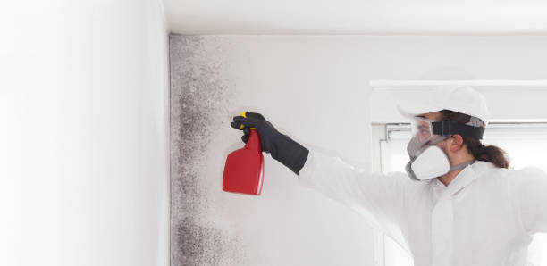 Best Crawl Space Mold Removal  in Meyers, CA