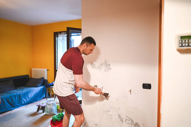 Meyers, CA Mold Removal Company